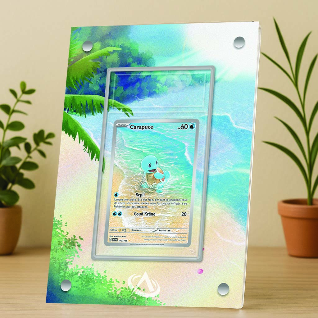 Cadre UV Premium Carapuce AR 151