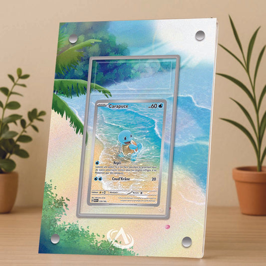 Cadre UV Premium Carapuce AR 151