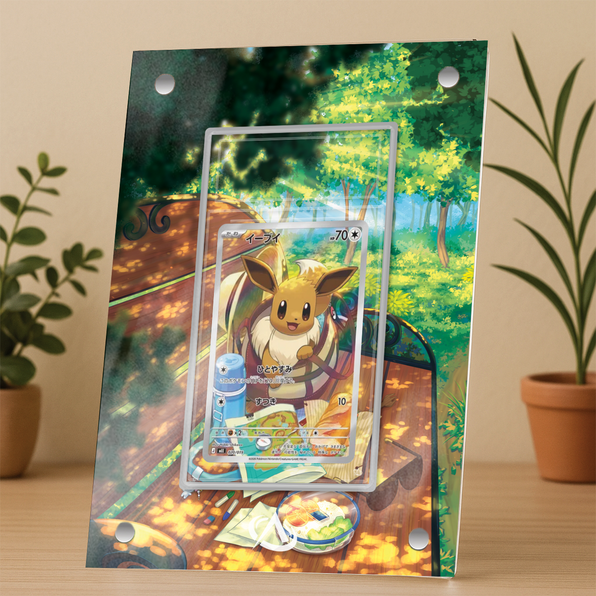 Cadre Magnétique Evoli AR MEGA Starter Set ex