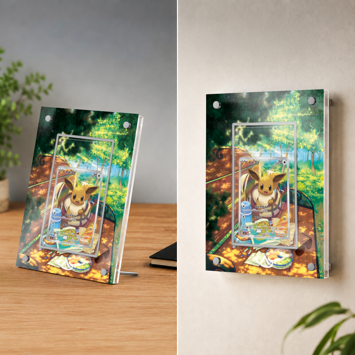 Cadre Magnétique Evoli AR MEGA Starter Set ex