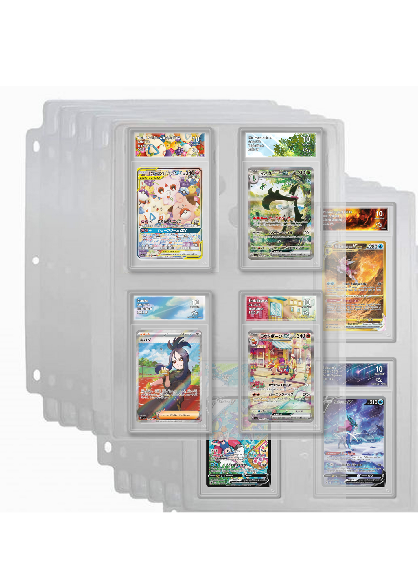 1 page de classeur pour cartes gradées